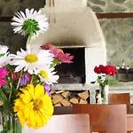 Hotel Edelweiss Park Hotel