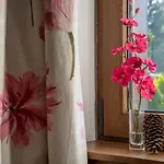 Edelweiss Park Hotel 3* Bansko