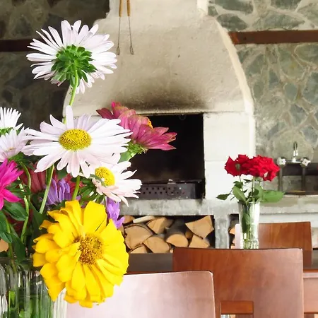 Готель Edelweiss Park