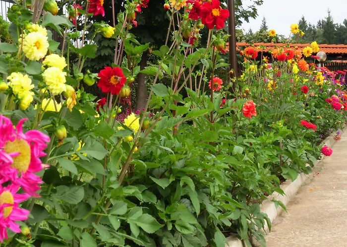 Hotel Edelweiss Park Hotel Bansko